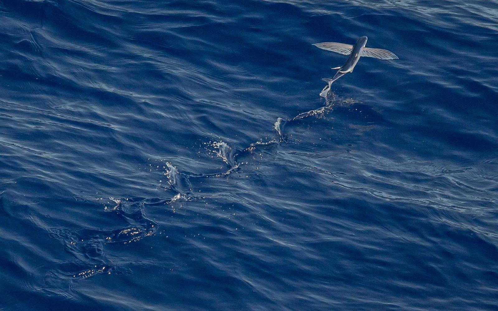Carnival lights blurred in the rain, no logos, city street at night