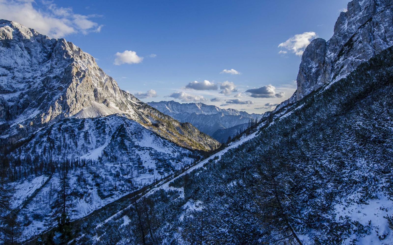 Player smiling faintly at a phone while wearing headphones, candid documentary style